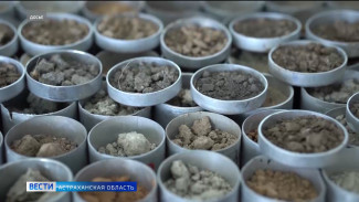 В Астраханской области нашли тяжёлые металлы в землях сельхозназначения