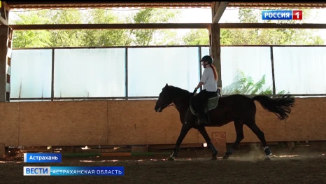 О содержании лошадей в Астрахани