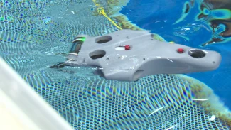 В Астраханской области провели Кубок России по телеуправляемым аппаратам и безэкипажным катерам