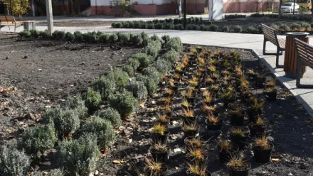 В Астрахани завершается благоустройство двух бульваров