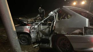 В ДТП под Астраханью из-за безнадзорной коровы погиб парень