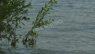 На севере Астраханской области утонул мужчина, спасая ребёнка