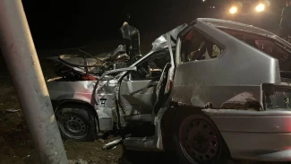 В ДТП под Астраханью из-за безнадзорной коровы погиб парень