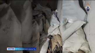 В Астраханской области следователи раскрыли схему незаконного оборота рыбной продукции