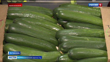 Летний салат стал обходиться астраханцам дешевле