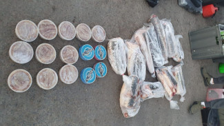 В Астраханской области пресечены 2 канала незаконного оборота осетровых