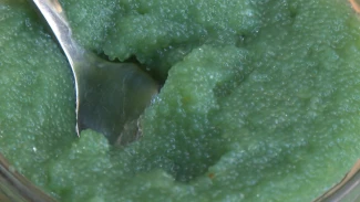 Гастротуризм в Астраханской области: новые направления