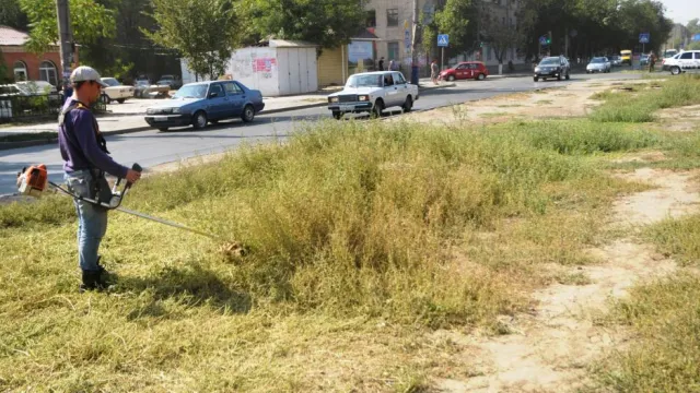 В Астрахани продолжают бороться с сорной растительностью