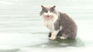 Астраханцев просят воздержаться от массового выхода на лёд