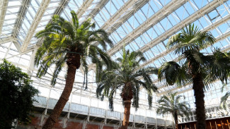 К 2023 году в Астрахани планируют восстановить кинотеатр «Октябрь»