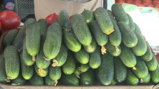 В Астраханскую область привезли более 83 тонн овощей из Узбекистана