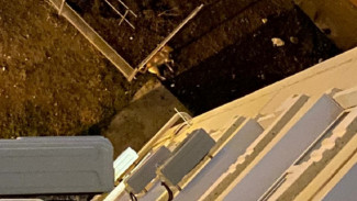 В Астрахани мужчина надругался над собакой и выбросил её из окна 5 этажа