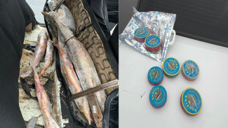 У астраханца нашли осетров и чёрную икру без документов
