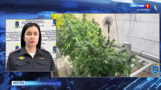 Астраханское УМВД представило оперативную сводку за прошедшие выходные