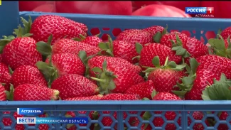 На астраханских рынках - сезонные перемены