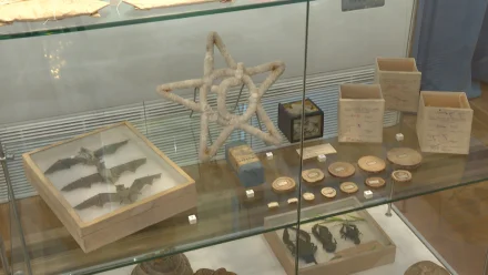 В Астрахани открылась выставка, приуроченная к 185-летию краеведческого музея