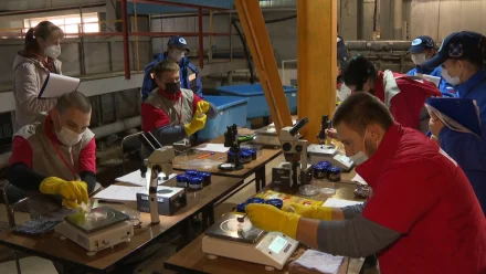 В Астрахани проходят соревнования среди молодых специалистов рыбохозяйственной отрасли