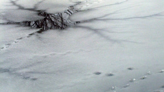 В Астрахани в канале утонул 43-летний мужчина 