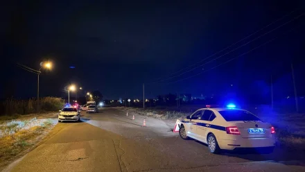 Водитель получил 9 лет колонии за сбитых насмерть супругов