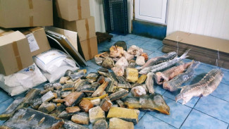 В Астраханской области стартовала операция "Путина" 