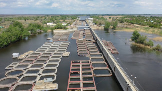 Как санкции повлияли на работу осетровых хозяйств в Астраханской области