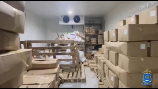 Под Астраханью полицейские изъяли более 14 тонн рыбы