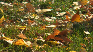 Завтра в Астраханской области ожидается переменная облачность