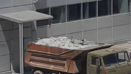 В Астрахани компания, проводившая ремонт в «Кристалле», оштрафована за вред экологии