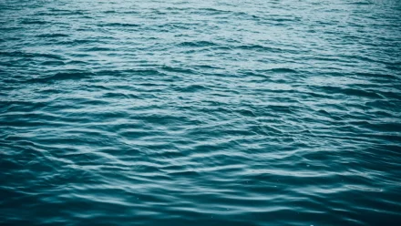 Полиция нашла живым астраханца, якобы утонувшего у паромной переправы 