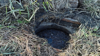 Под Астраханью организацию оштрафовали за загрязнение почвы фекалиями