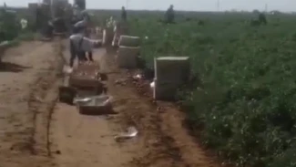 Астраханский фермер заплатил 1,2 млн рублей за нарушение правил пребывания иностранцев