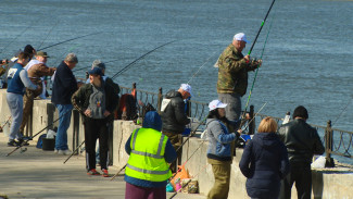 Как будет проходить фестиваль “Вобла” в 2021 году