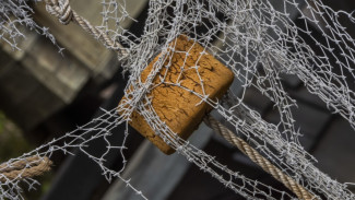 Двое астраханских браконьеров предстанут перед судом 