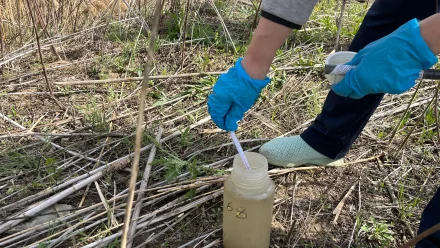 «Астрводоканал» прокомментировал безопасность питьевой воды