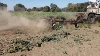 В Астрахани прошел очередной этап операции «Мак–2025»