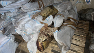 В Астрахани осудили гендиректора фирмы за хранение более 117 тонн немаркированной рыбы