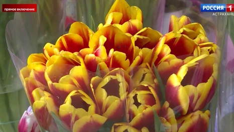 Что сегодня предлагают астраханцам магазины, и сколько стоят символы 8 Марта