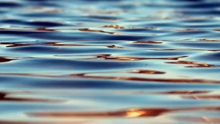 В Астрахани на реке Царев утонул 49-летний мужчина