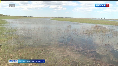 В Астраханской области наблюдается лучшее за последние годы весеннее половодье