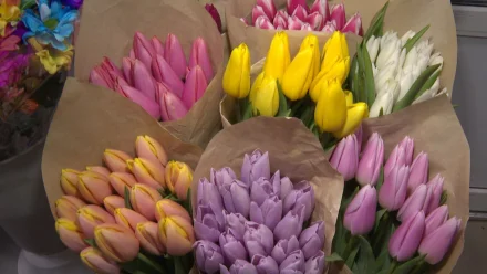 Во сколько обойдутся астраханцам весенние цветы на 8 марта 