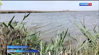Губернатор Игорь Бабушкин поручил начать подкачку астраханских ильменей