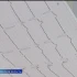 Сегодня отмечается Всемирный День сердца