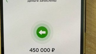 В Астрахани раскрыли 24 эпизода крупной мошеннической схемы с материнским капиталом