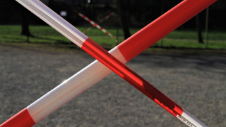 В Ленинском районе Астрахани объявлен карантин по бешенству животных