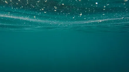 СК проводит проверку по факту гибели 14-летнего астраханца в реке