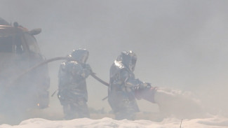 В Астраханской области прошли российско-казахстанские учения по тушению ландшафтных пожаров