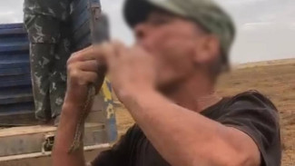 СК проводит проверку из-за гибели 55-летнего астраханца от укуса змеи