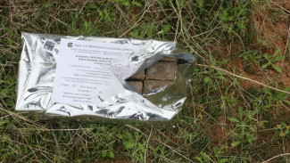 В Астраханской области в заказнике вакцинируют диких животных