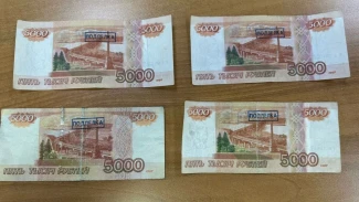 Астраханские и волгоградские полицейские пресекли сбыт фальшивых купюр