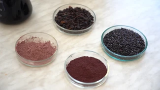 В Астрахани из чёрного риса получают натуральный краситель